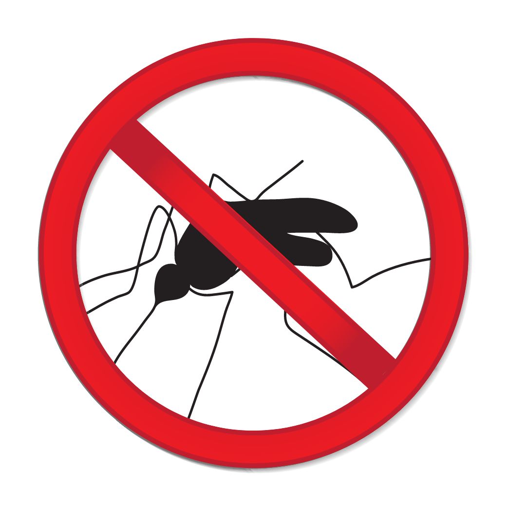 Mosquito Image