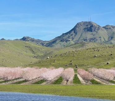 Sutter Buttes Name Change Feedback